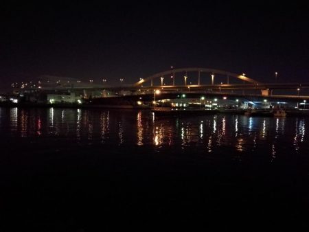 南港フェリーヘチ釣り （小キビレ、ガシラ 釣果）