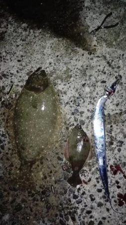 やったりやした