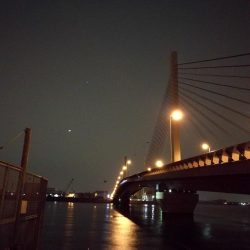 南港カモメ大橋ヘチ釣行 （シーバス67ｃｍ、キビレチヌ、ガシラ、釣果有り）