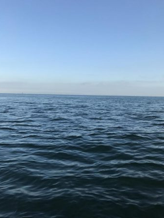 ベイトわんさか