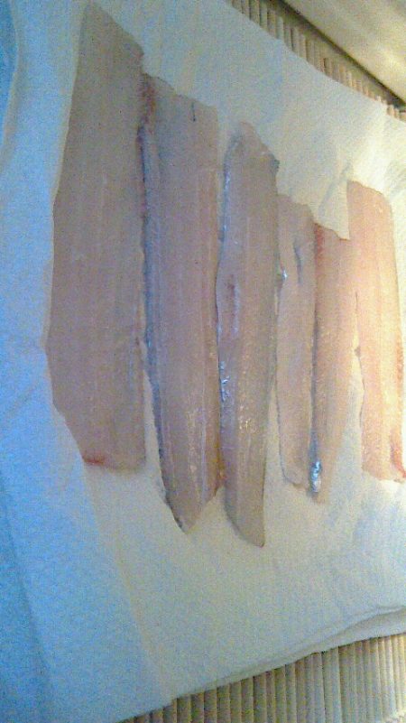 太刀爆釣ならず