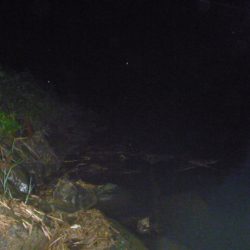 浮きごみ周りで