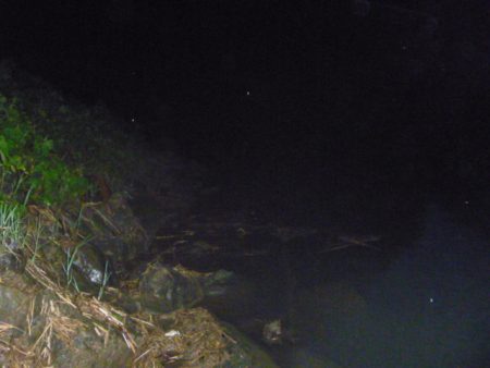 浮きごみ周りで