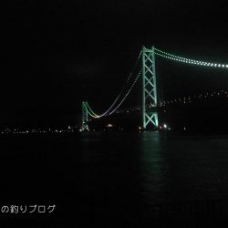 サビキで小アジ！