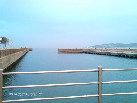 短時間サビキで38匹！