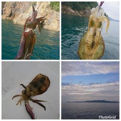 ボートエギング2