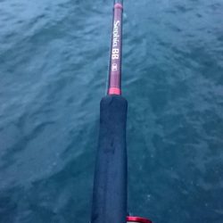 タチウオ貝塚遠征3日目