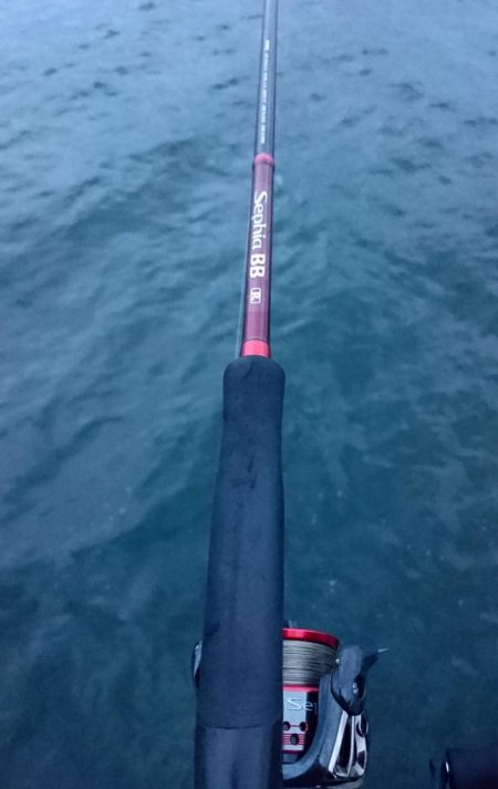 タチウオ貝塚遠征3日目