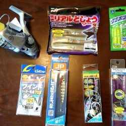 タチウオ浮き釣りとサビキのアジ、サバ