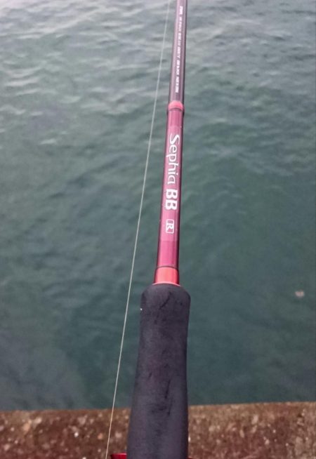 毎日タチウオ釣行