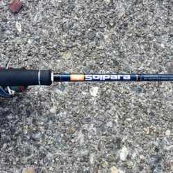 連休中のタチウオプチ遠征