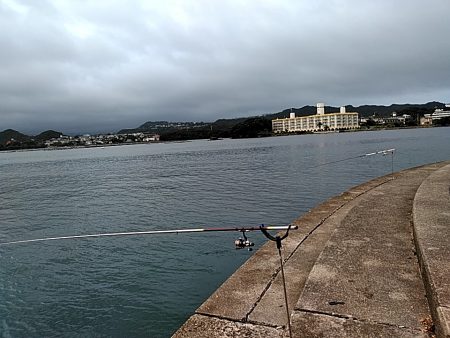 アオリイカ釣れました!!