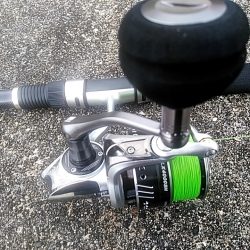 台風明けに　カンパチ（シオ）釣れましたね!!