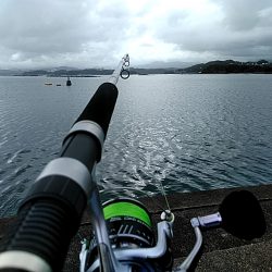 雨が降ってますが、何とか・・・・