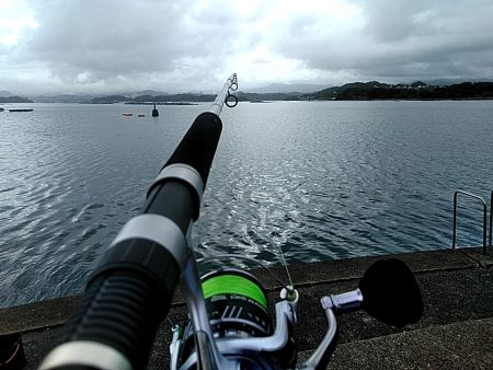 雨が降ってますが、何とか・・・・