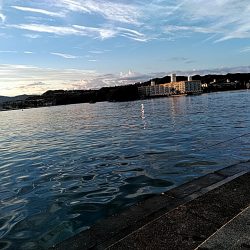 朝マヅメで　シオ(カンパチの小型)2本上がりました。