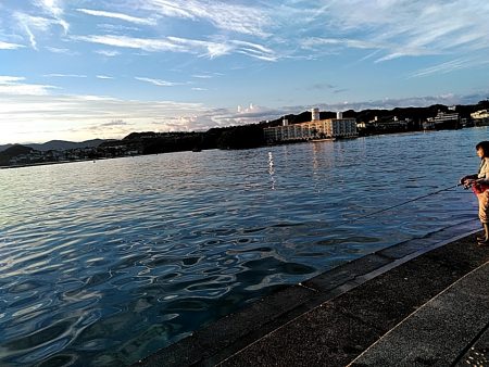 朝マヅメで　シオ(カンパチの小型)2本上がりました。