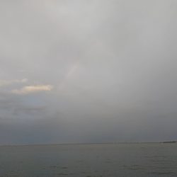 今年初めての太刀魚でした!!