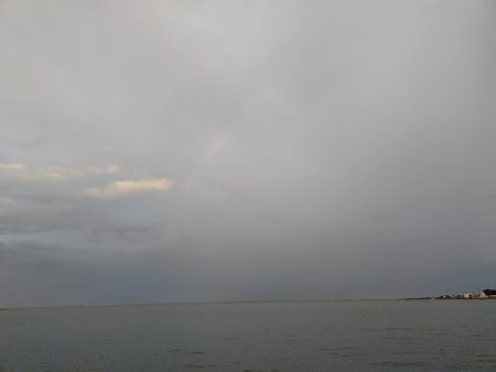 今年初めての太刀魚でした!!