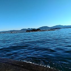 なんとか　一杯。