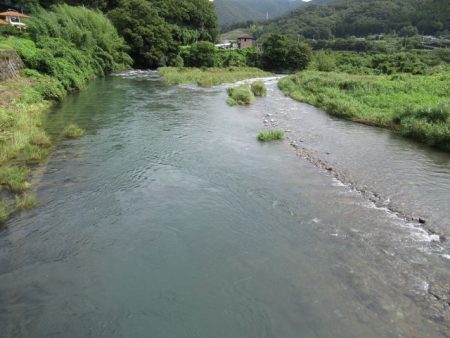 狩野川(狩野川漁業協同組合) 釣果