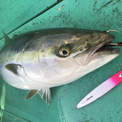 広進丸 釣果