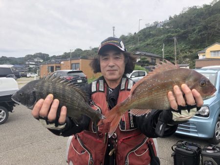 由良渡船 釣果