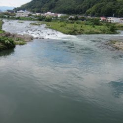 狩野川(狩野川漁業協同組合) 釣果