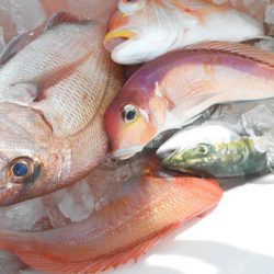 こうゆう丸 釣果