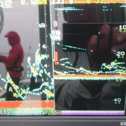 遊漁船ブルーウッズ 釣果