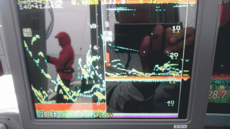 遊漁船ブルーウッズ 釣果