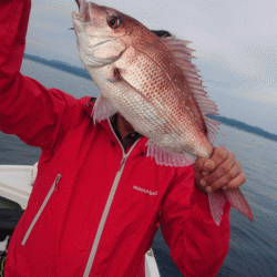 遊漁船ブルーウッズ 釣果