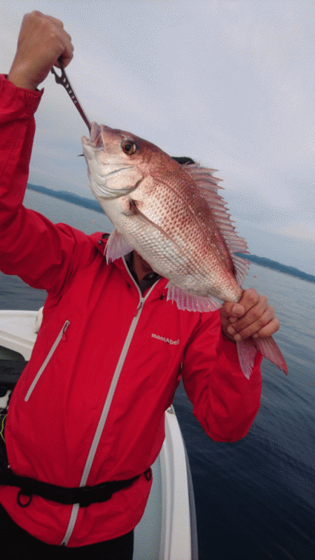 遊漁船ブルーウッズ 釣果