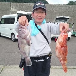 大進丸（新潟） 釣果