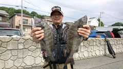まこと渡船 釣果