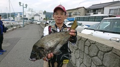 まこと渡船 釣果