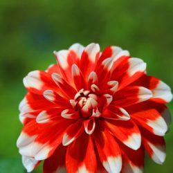 小菅トラウトガーデン 釣果