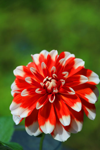 小菅トラウトガーデン 釣果