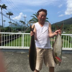 フィッシングハウス伊藤 釣果