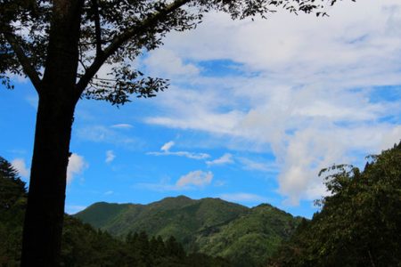 小菅トラウトガーデン 釣果