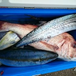 大進丸(新潟) 釣果