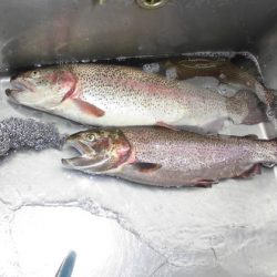 高萩ふれあいの里フィッシングエリア 釣果