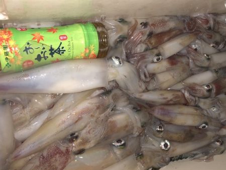 幸風（さちかぜ） 釣果