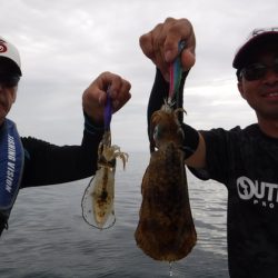 BlueNote Fishing Taxi 釣果