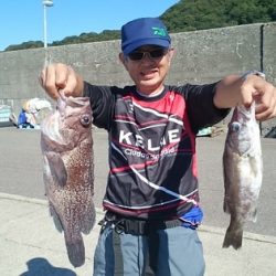 大進丸(新潟) 釣果