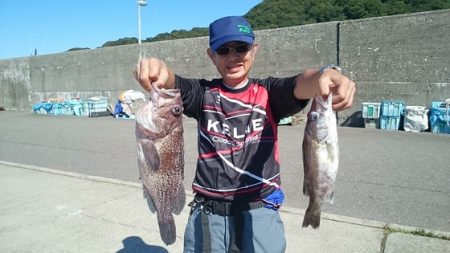 大進丸（新潟） 釣果