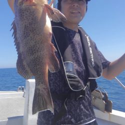 遊漁船 新鋭丸 釣果