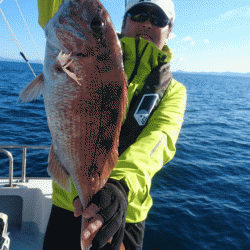 遊漁船ブルーウッズ 釣果