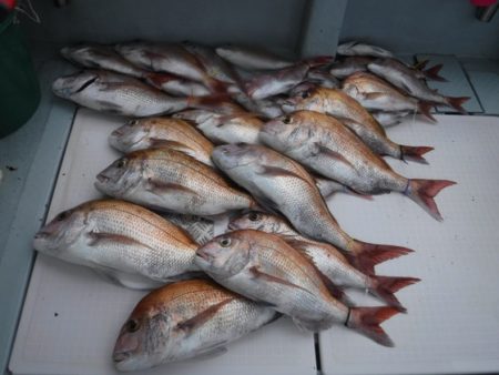 遊漁船 幸友丸 釣果