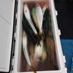 龍神丸（福井） 釣果